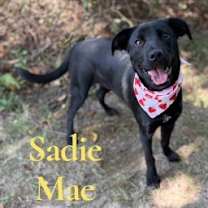 Sadie Mae 126186