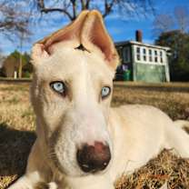 Thumbnail photo of Maverick #3