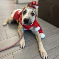 Thumbnail photo of Maya #4