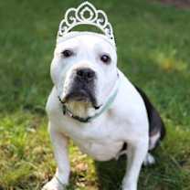 Thumbnail photo of Princess Jasmine #2