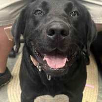 Thumbnail photo of Astro #3