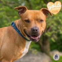 Thumbnail photo of Dalton #1