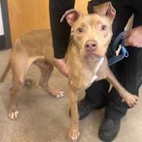 Thumbnail photo of Marv II 47 #2