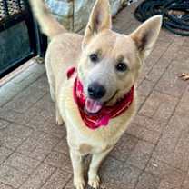 Thumbnail photo of Maya #1