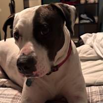 Thumbnail photo of Bane #3