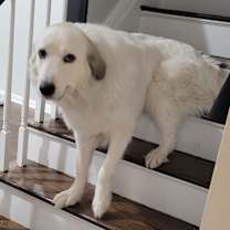 Thumbnail photo of Eden #2