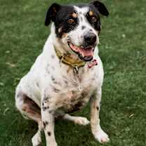 Thumbnail photo of Kiko #3