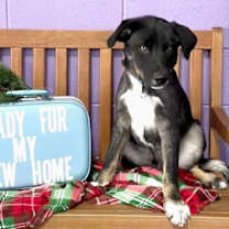 Thumbnail photo of **DAYTON** #2