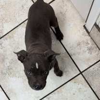 Thumbnail photo of 925 (2025) Willow #3