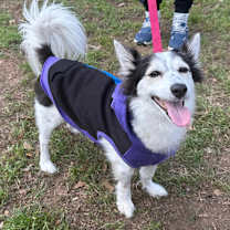 Thumbnail photo of Cairo #1