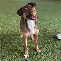 Thumbnail photo of Malla #1