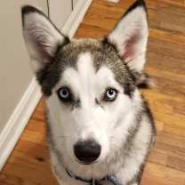 Thumbnail photo of Mika #3