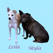 Thumbnail photo of Leila D25-201 #3