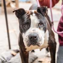 Thumbnail photo of Jewel #2