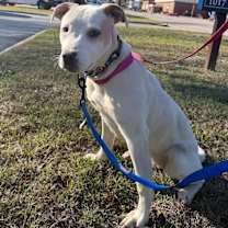 Thumbnail photo of Reba #1