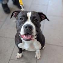 Thumbnail photo of Cora #1