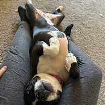 Thumbnail photo of Cora #4