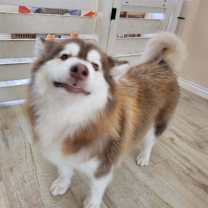 Thumbnail photo of Lola #3