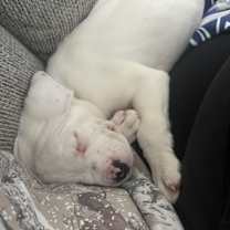 Thumbnail photo of Ember #2