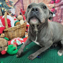 Thumbnail photo of Anna #1