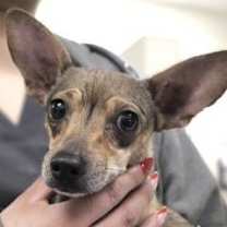 Thumbnail photo of 805223 #1