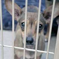 Thumbnail photo of 805223 #2