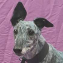 Thumbnail photo of No Matter What #1