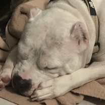 Thumbnail photo of Snow #1