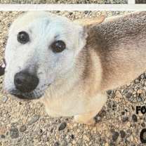 Thumbnail photo of Rocket #4