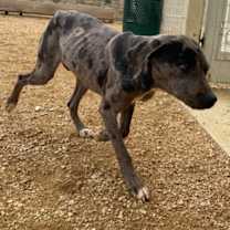 Thumbnail photo of Lisa #3