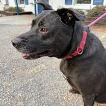 Thumbnail photo of Jack Charles #3