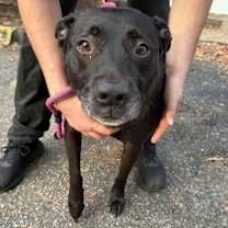 Thumbnail photo of Jack Charles #4