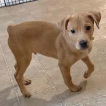 Thumbnail photo of Sunny #2