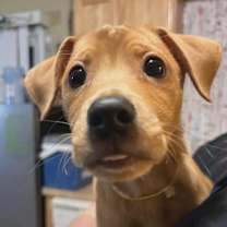 Thumbnail photo of Sunny #3