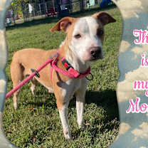 Thumbnail photo of Sunny #4