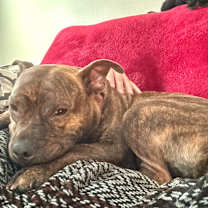 Thumbnail photo of Fred #3