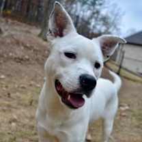 Thumbnail photo of Tito #4