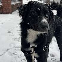 Thumbnail photo of Sky #4