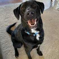 Thumbnail photo of Miles Davis #1