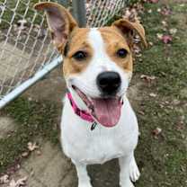 Thumbnail photo of Minnie #2