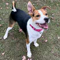 Thumbnail photo of Minnie #3