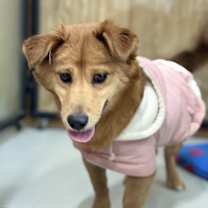 Thumbnail photo of Youngji #3