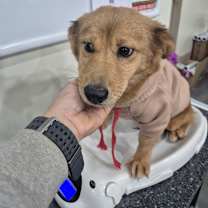 Thumbnail photo of Youngji #4