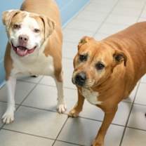 Thumbnail photo of Becky #2