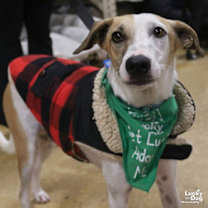 Thumbnail photo of Peter #2