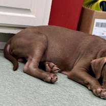 Thumbnail photo of Ludacris #3