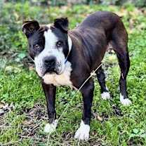 Thumbnail photo of Jewel #3