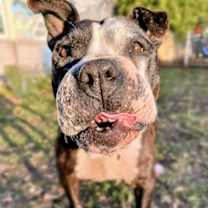 Thumbnail photo of Jewel #4