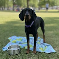 Thumbnail photo of Bell #1