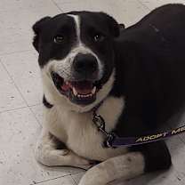 Thumbnail photo of Bobby JuM #4